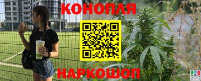 гашик Бузулук
