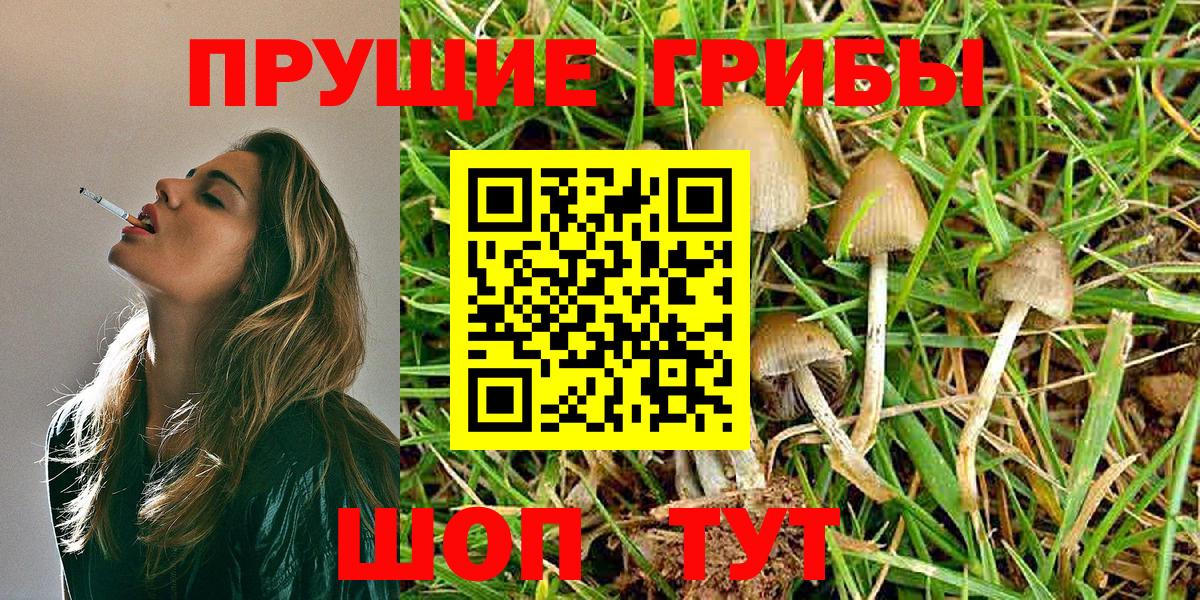 что такое наркотик  Галлюциногенные грибы Psilocybine cubensis  Вход с VPN  Стрежевой 