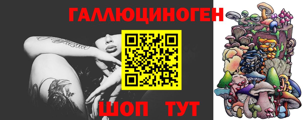 Галлюциногенные грибы Psilocybe Стрежевой