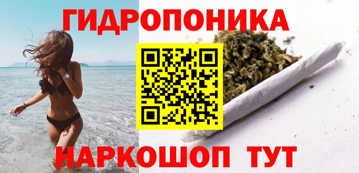 Конопля семена  Каннабис сатива  Стрежевой  Марихуана индика  Марихуана гибрид  Вход с VPN 